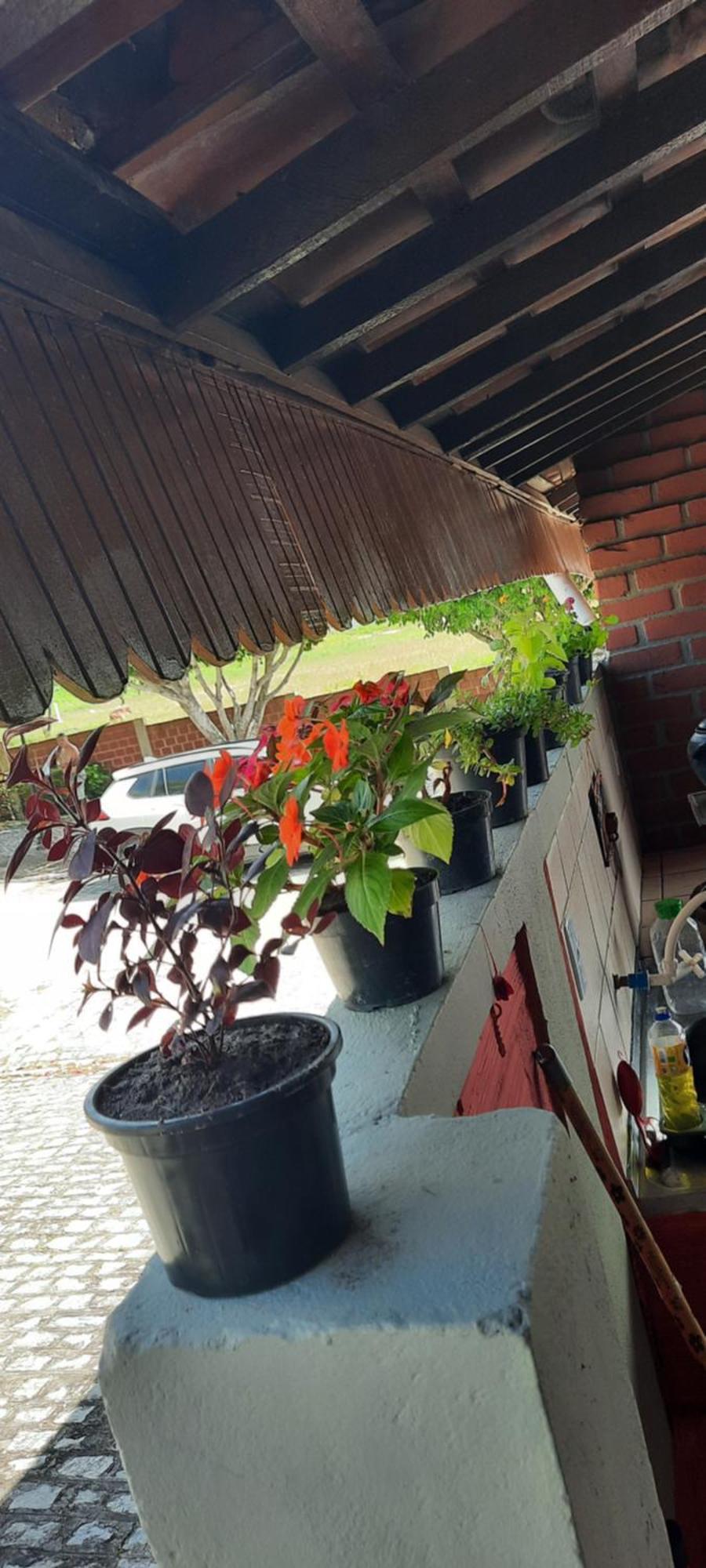 Casa Frio Da Serrinha Gravata Gravatá Exterior foto
